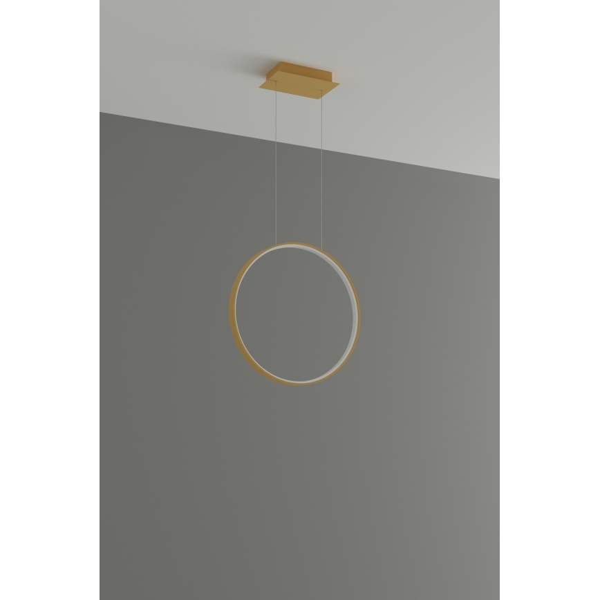 Thoro TH.220 - Candeeiro suspenso LED RIO LED/30W/230V CRI 90 3000K diâmetro 55 cm dourado