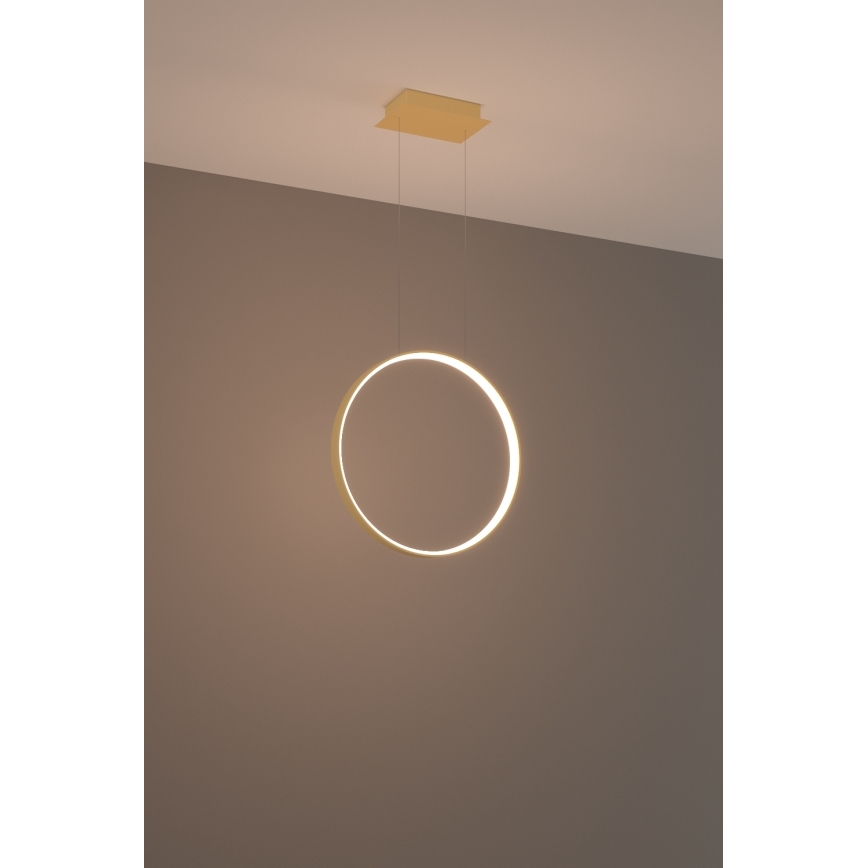 Thoro TH.220 - Candeeiro suspenso LED RIO LED/30W/230V CRI 90 3000K diâmetro 55 cm dourado