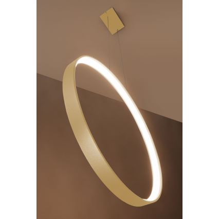 Thoro TH.220 - Candeeiro suspenso LED RIO LED/30W/230V CRI 90 3000K diâmetro 55 cm dourado