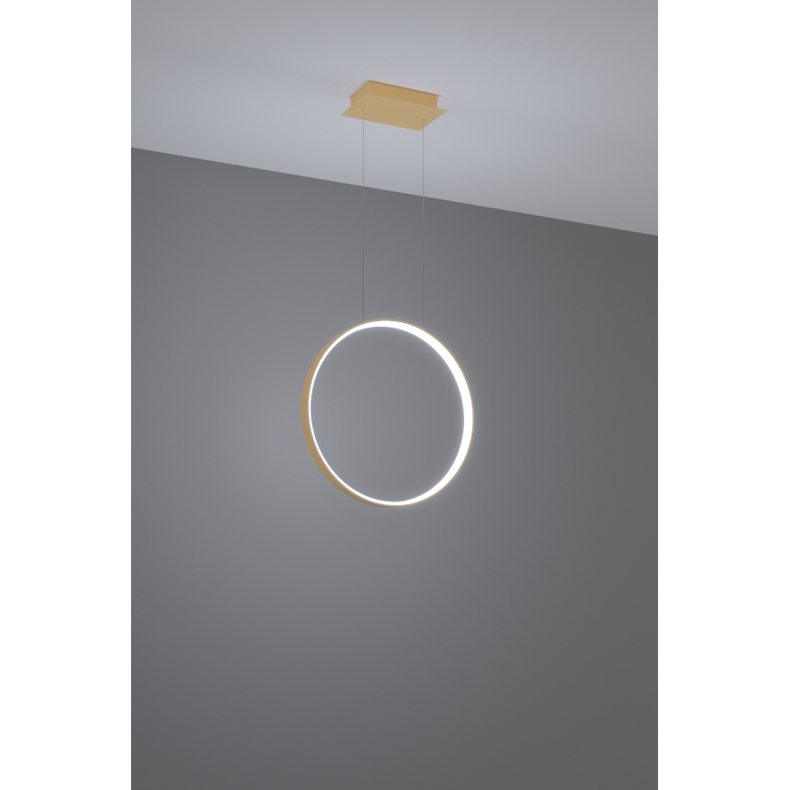 Thoro TH.221 - Candeeiro suspenso LED RIO LED/30W/230V CRI 95 4000K diâmetro 55 cm dourado