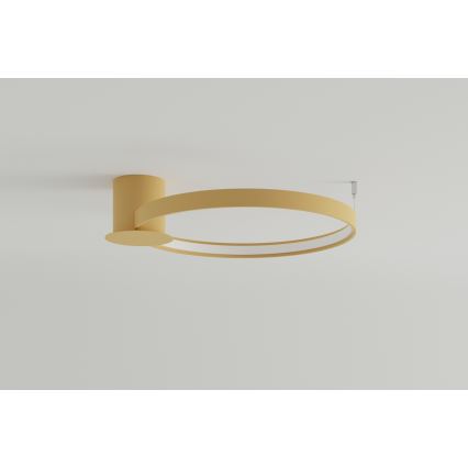 Thoro TH.222 - Iluminação de teto LED RIO LED/30W/230V CRI 90 3000K diâmetro 55 cm dourado