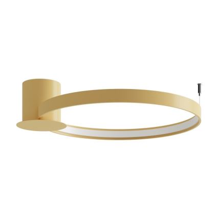 Thoro TH.222 - Iluminação de teto LED RIO LED/30W/230V CRI 90 3000K diâmetro 55 cm dourado