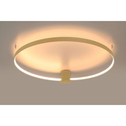 Thoro TH.222 - Iluminação de teto LED RIO LED/30W/230V CRI 90 3000K diâmetro 55 cm dourado