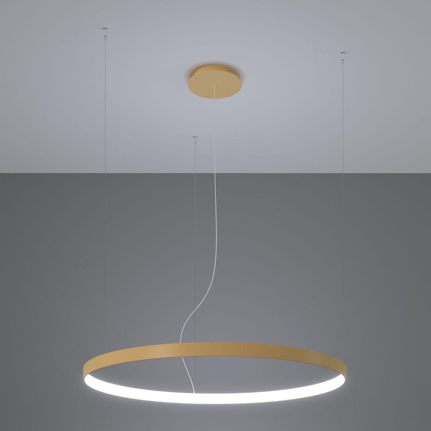 Thoro TH.223 - Iluminação de teto LED RIO LED/30W/230V CRI 95 4000K diâmetro 55 cm dourado
