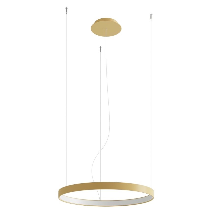 Thoro TH.223 - Iluminação de teto LED RIO LED/30W/230V CRI 95 4000K diâmetro 55 cm dourado