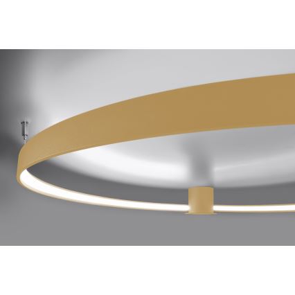 Thoro TH.223 - Iluminação de teto LED RIO LED/30W/230V CRI 95 4000K diâmetro 55 cm dourado