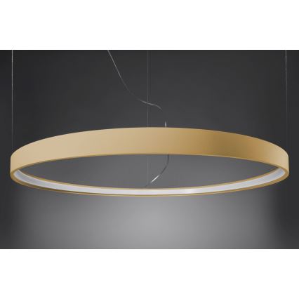 Thoro TH.223 - Iluminação de teto LED RIO LED/30W/230V CRI 95 4000K diâmetro 55 cm dourado