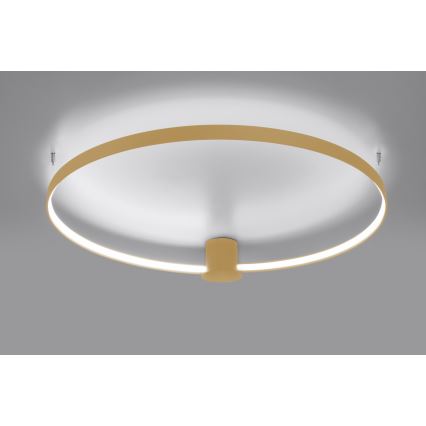 Thoro TH.223 - Candeeiro de tecto LED RIO LED/30W/230V IRC 98 4000K Ø 55 cm dourado