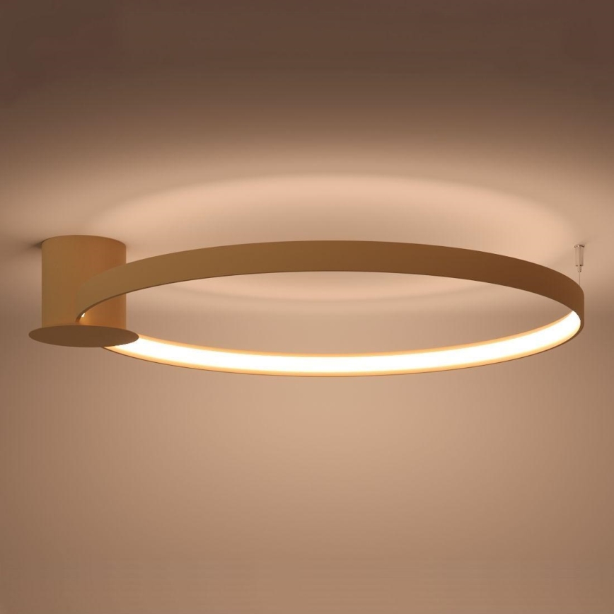Thoro TH.224 - Iluminação de teto LED RIO LED/50W/230V CRI 90 3000K diâmetro 78 cm dourado
