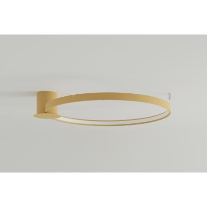 Thoro TH.224 - Iluminação de teto LED RIO LED/50W/230V CRI 90 3000K diâmetro 78 cm dourado