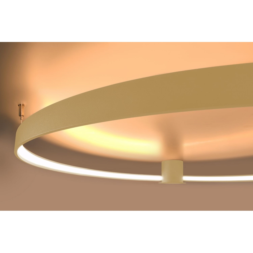 Thoro TH.224 - Iluminação de teto LED RIO LED/50W/230V CRI 90 3000K diâmetro 78 cm dourado