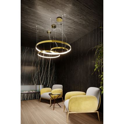 Thoro TH.246 - Candeeiro suspenso LED RIO LED/50W/230V CRI 90 3000K diâmetro 78 cm dourado