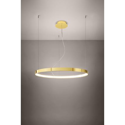 Thoro TH.246 - Candeeiro suspenso LED RIO LED/50W/230V CRI 90 3000K diâmetro 78 cm dourado