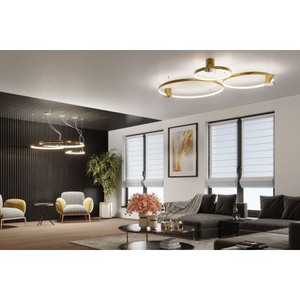 Thoro TH.252 - Iluminação de teto LED RIO LED/50W/230V CRI 90 3000K diâmetro 78 cm dourado
