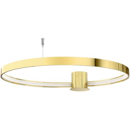 Thoro TH.252 - Iluminação de teto LED RIO LED/50W/230V CRI 90 3000K diâmetro 78 cm dourado