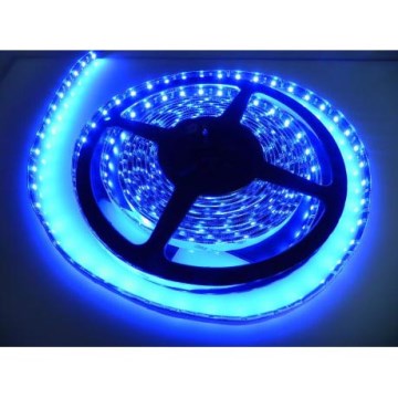 Tira de casa de banho LED LED/24W/12V 5 m IP65 azul