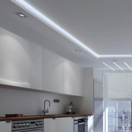 Tira LED 5m LED/10W/12V IP20 6500K