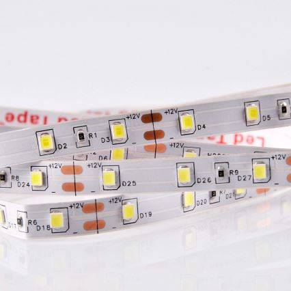 Tira LED 5m LED/10W/12V IP20 6500K