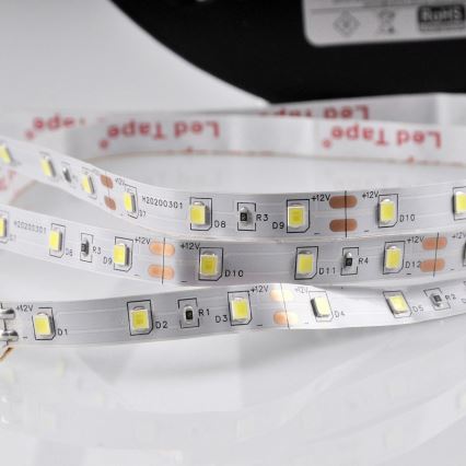 Tira LED 5m LED/10W/12V IP20 6500K