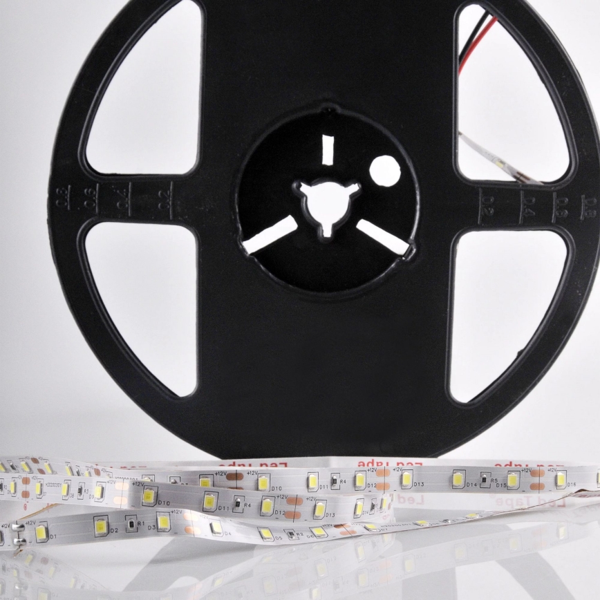 Tira LED 5m LED/10W/12V IP20 6500K