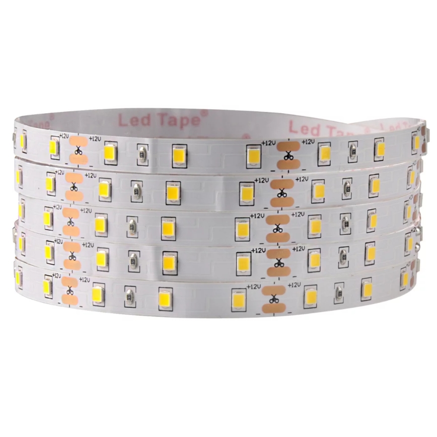 Tira LED 5m LED/10W/12V IP20 6500K