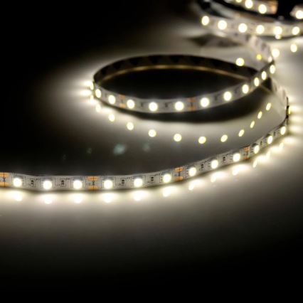 Tira LED 5m LED/10W/12V IP20 branco