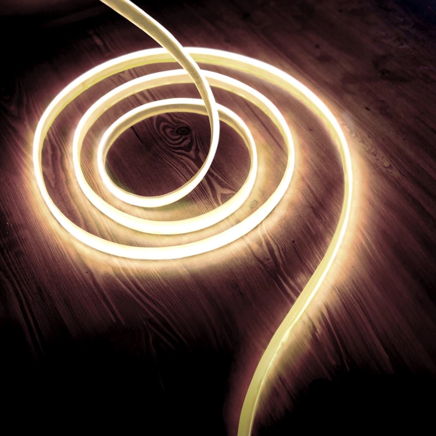 Tira LED LED/50W/12V 5 m 4000K IP65