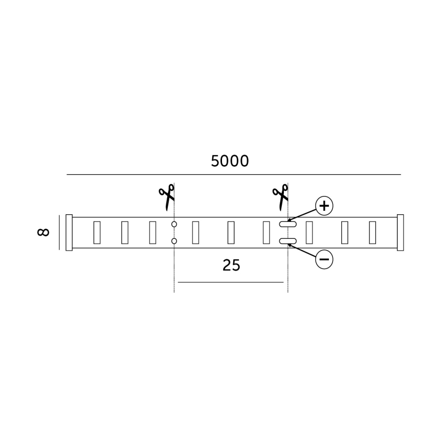 Tira LED LED/50W/12V 5 m 6500K IP65