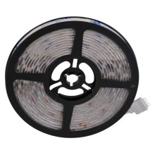 Tira LED RGBW com regulação 5m LED/24W/12V IP65