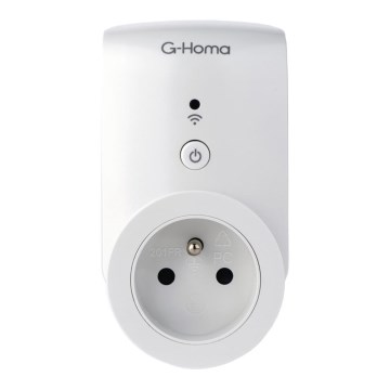 Tomada inteligente 3680W/TYPE/230V Wifi + temporizador