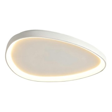 Top Light - Candeeiro de tecto LED dimerizável ECLIPSE LED/55W/230V 3000-6500K pr. 60 cm branco + controlo remoto