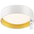Top Light - Iluminação de teto LED com regulação IVONA 40B +CR LED/24W/230V + controlo remoto branco