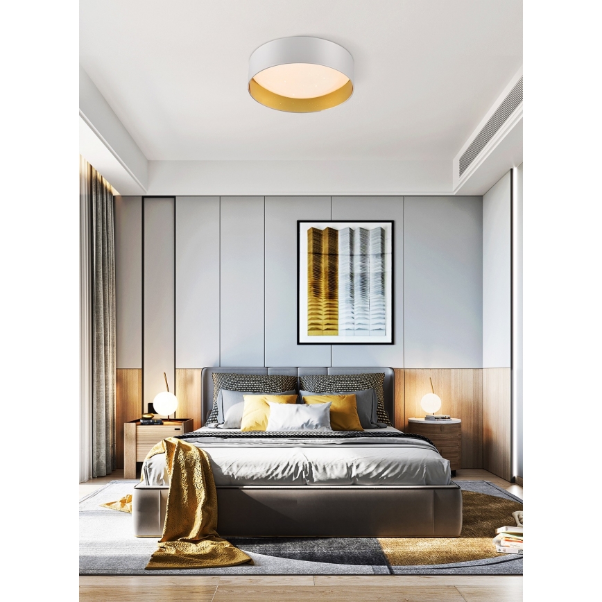 Top Light - Iluminação de teto LED com regulação IVONA 40B +CR LED/24W/230V + controlo remoto branco