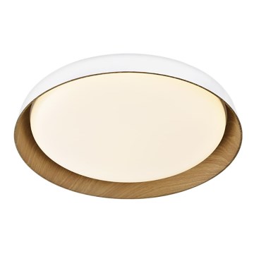 Top Light - Iluminação de teto LED com regulação SATELLITE LED/36W/230V 3000-6500K diâmetro 43 cm branco/castanho + comando