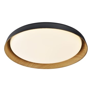 Top Light - Iluminação de teto LED com regulação SATELLITE LED/48W/230V 3000-6500K diâmetro 53 cm preto/castanho + comando