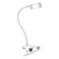 Top Light - Lâmpada de mesa LED tátil e dimerizável com clipe BELLA LED/4,8W/5V 3000-6500K branca