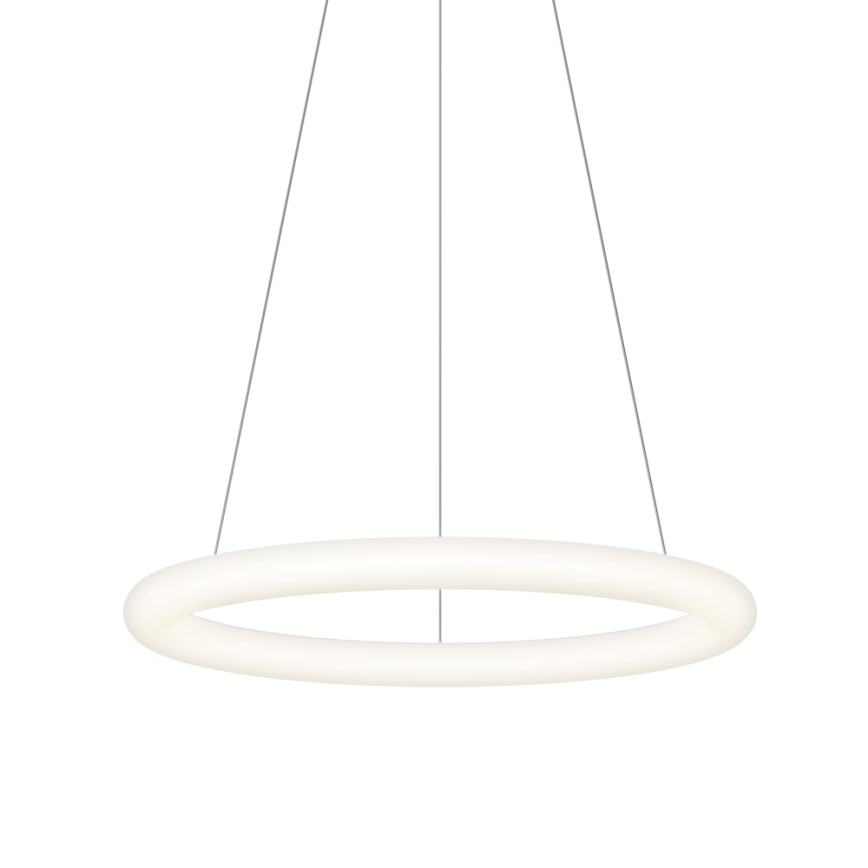 Top Light - Lustre pendente LED dimerizável em cabo RINGO LED/40W/230V 3000-6500K branco + comando remoto