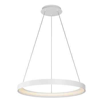 Top Light - Lustre LED regulável em cabo ORBIT LED/40W/230V 3000-6500K diâmetro 50 cm branco + comando à distância