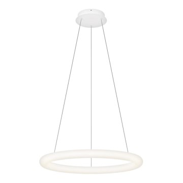 Top Light - Lustre pendente LED dimerizável em cabo RINGO LED/40W/230V 3000-6500K branco + comando remoto