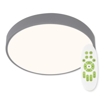 Top Light Metal 40S RC - Luminária de teto LED dimmerizável LED/51W/230V cinza + controlo remoto