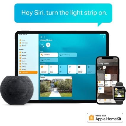 TP-Link - Fita LED RGBW regulável 5 m LED/13W/230V Wi-Fi