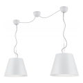 Trio - Candelabro suspenso ANDREUS 2xE27/60W/230V
