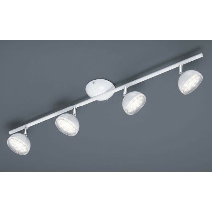 Trio - Foco LED BOLOU 4xLED/3,8W/230V