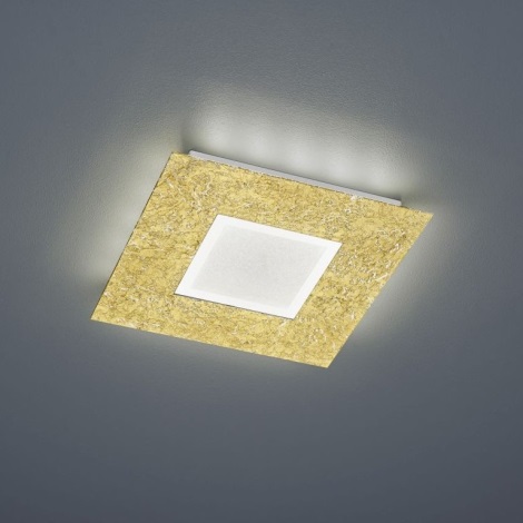 Trio - LED Luz de teto CHIROS LED/12W/230V + LED/3,5W