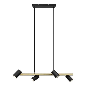 Trio - Lustre suspenso em cabo MARLEY 4xGU10/35W/230V preto/dourado