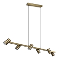 Trio - Lustre suspenso por cabo MARLEY 6xGU10/35W/230V latão