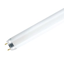 Tubo fluorescente G13/18W/230V 6500K 60 cm