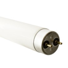 Tubo fluorescente G13/58W/230V 6000K 150 cm