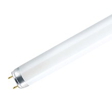 Tubo fluorescente G13/58W/230V 6500K 150 cm