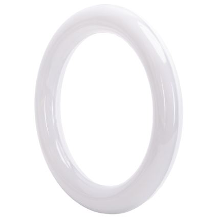 Tubo fluorescente LED G10q/14W/230V 4000K - Aigostar